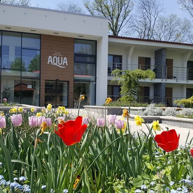 Hotel Aqua Veľký Meder Hotel Aqua Veľký Meder