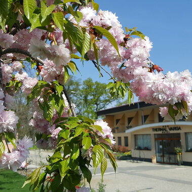 Hotel Thermal Varga Veľký Meder